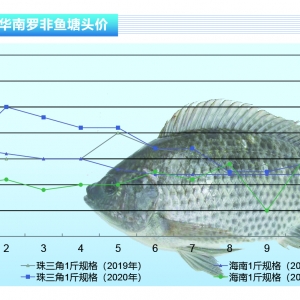 �_���~���Ј������~�����S���q�r������ˮ�aǰ�ء�2021��1�¿��Ј�څ��