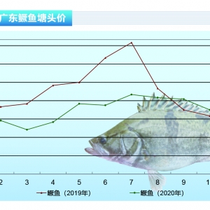 �Z�~���D���~��λ�\������(ji��)���У�ȫ������������ˮ�a(ch��n)ǰ�ء�2020��12�¿��Ј�څ��