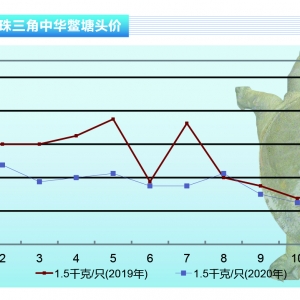 ���~��ʮ�¼��~ͣʳ���B(y��ng)ֳ���������ۡ�����ˮ�a(ch��n)ǰ�ء�2020��11�¿��Ј�څ��