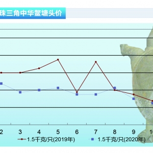 ���~��ʮһ�¼��~�����^�m(x��)��λ�\�С�����ˮ�a(ch��n)ǰ�ء�2020��12�¿��Ј�څ��