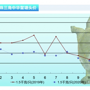 ���~��ʮ���¼��~�r���^�m(x��)���ԡ�����ˮ�a(ch��n)ǰ�ء�2021��1�¿��Ј�څ��