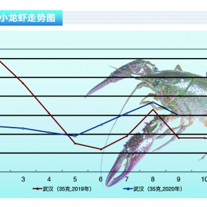 С���r�������(ji��n)ͦ�����r�Ӹ߲��¡�����ˮ�a(ch��n)ǰ�ء�2020��10�¿��Ј�(ch��ng)څ��(sh��)