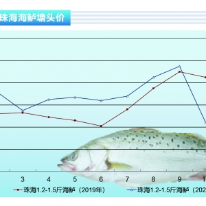 ���|�����^ȱ�~�����|�r����m(x��)�ߝq������ˮ�a(ch��n)ǰ�ء�2021��1�¿��Ј�څ��