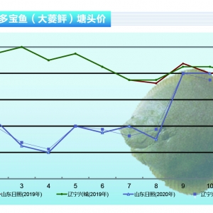 �����~���r(ji��)���λ��(w��n)��Ͷ��e�O�Ըߡ�����ˮ�a(ch��n)ǰ�ء�2020��11�¿��Ј�(ch��ng)څ��(sh��)
