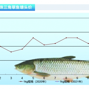 ���~(y��)�����鷀(w��n)����������՚�̼����^�r(ji��)���q������ˮ�a(ch��n)ǰ�ء�2021��2�¿��Ј�(ch��ng)څ��(sh��)