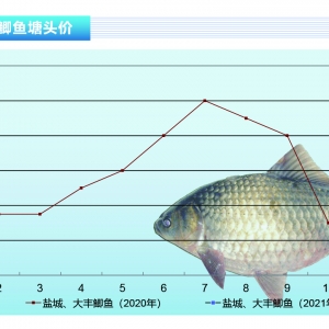 �a�~��Ԫ����������F(xi��n)��ů��������y���^�󷴏�������ˮ�aǰ�ء�2021��2�¿��Ј�څ��