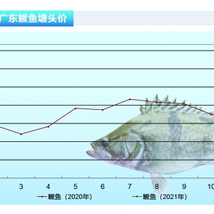 �Z�~����ϯȡ�����۲͜p�����Z�~����һƬ���ԡ�����ˮ�a(ch��n)ǰ�ء�2021��2�¿��Ј�څ��