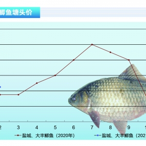 �a�~������(ji��)����������F(xi��n)��q���ϰ�����m(x��)�����á�����ˮ�aǰ�ء�2021��3�¿��Ј�څ��