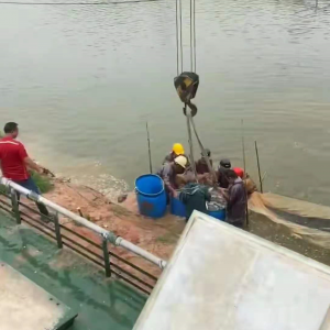 �����[�~�ġ������~��������~�ֱ��q1.7Ԫ