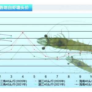 ���r���_ʼȱ�r����������Ȼƽ��(w��n)������ˮ�a(ch��n)ǰ�ء�2021��4�¿��Ј�څ��