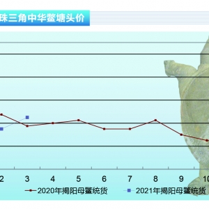 ���~�����¼��~�r����F(xi��n)���ŷ���������ˮ�a(ch��n)ǰ�ء�2021��4�¿��Ј�څ��