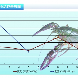 С���r���r�r(ji��)������µ����r�r(n��ng)��ǰ��ˮ�N��������ˮ�a(ch��n)ǰ�ء�2021��6�¿��Ј�(ch��ng)څ��(sh��)