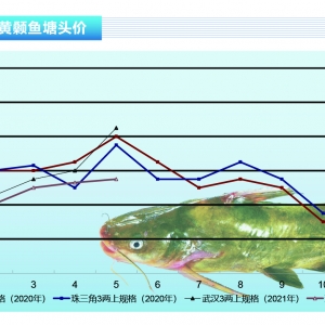 �S��~������Σ����ȥ���Ј�ȱ���~�~�r���{(di��o)������ˮ�a(ch��n)ǰ�ء�2021��6�¿��Ј�څ��