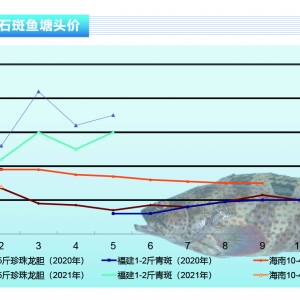 ʯ���~��5����Ѯ�~�r�����_�q������ˮ�a(ch��n)ǰ�ء�2021��6�¿��Ј�څ��