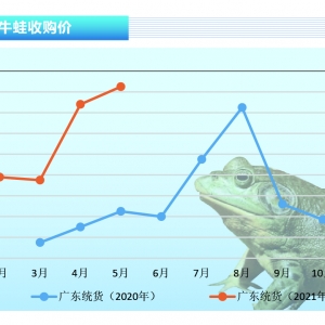 ţ�ܣ��Ј�ȱ�����Ј����F(xi��n)��Ҋ�ĳ��m(x��)�߃r������ˮ�a(ch��n)ǰ�ء�2021��6�¿��Ј�څ��