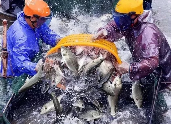 ���׽����|�������к������͌�������