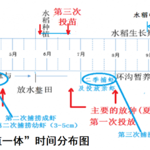 �\��С���r�a(ch��n)�I(y��)�еĎׂ�(g��)�ش�(w��n)�}��һ��