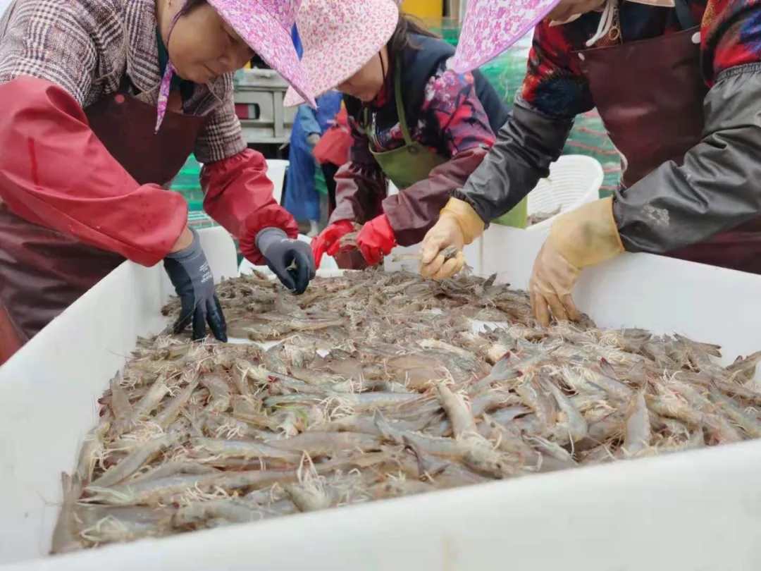 �~�С�é�_��Ҫ�������c�r���B(y��ng)����ģʽ�����ɹ�