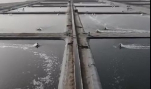 피�����������ɳĮ�B(y��ng)�@�N�͸ߜصČ��r��