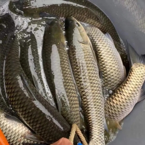 ȱ�~(y��)�����~(y��)�j��12Ԫ/��ٍ���X | 2021��7��8�ղ��~(y��)���^�r(ji��)��