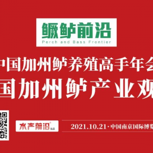 ��������|ˮ���������ɣ���ʲô�s߀�o��ɷ���