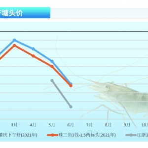�_�����r������»����Ј��M�뼯�������ڡ�����ˮ�a(ch��n)ǰ�ء�2021��7�¿��Ј�څ��