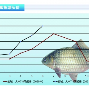 �a�~�����ݷ������a�~�����ٛ_�ߡ�����ˮ�a(ch��n)ǰ�ء�2021��7�¿��Ј�څ��