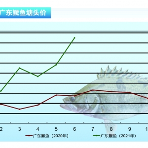 �Z�~�����ʽ������һ��(g��)�±��q10-20Ԫ/�����ˮ�a(ch��n)ǰ�ء�2021��7�¿��Ј�څ��