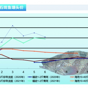 ʯ���~���������~�r(ji��)�µ���څ�ڷ�(w��n)��������ˮ�a(ch��n)ǰ�ء�2021��7�¿��Ј�څ��