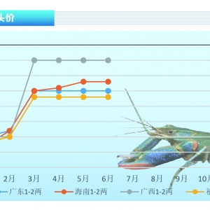 ���޵�ˮ���r��ȫ��Ͷ������Y(ji��)��������ȱ�r���q������ˮ�a(ch��n)ǰ�ء�2021��7�¿��Ј�څ��