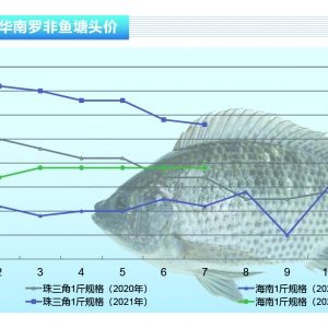 �_���~�����~���Еr�g��ɢ���r�񲨄��l��������ˮ�aǰ�ء�2021��8�¿��Ј�څ��