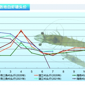 ���r��ȫ���r�rȫ���µ���������ⲡ�r�ࡪ����ˮ�a(ch��n)ǰ�ء�2021��8�¿��Ј�څ��