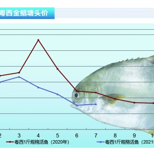 ���K�~�����~�������12Ԫ/����Խ���~��̝�Å���������ˮ�a(ch��n)ǰ�ء�2021��8�¿��Ј�(ch��ng)څ��(sh��)