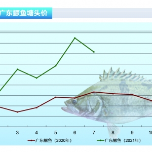 �Z�~����λ���䱩��8Ԫ/��֮���ٶȷ���������ˮ�a(ch��n)ǰ�ء�2021��8�¿��Ј�(ch��ng)څ��(sh��)