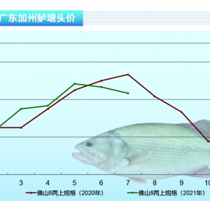 �����|�����~�B(y��ng)ֳ�e�O�Ը�������ˮ���q�r(ji��)������ˮ�a(ch��n)ǰ�ء�2021��8�¿��Ј�(ch��ng)څ��(sh��)