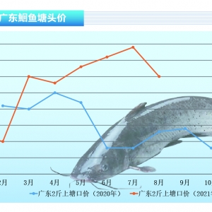 �t�~(y��)�������^�m(x��)���q��Ҏ(gu��)���~(y��)������ˮ�a(ch��n)ǰ�ء�2021��9�¿��Ј�(ch��ng)څ��(sh��)