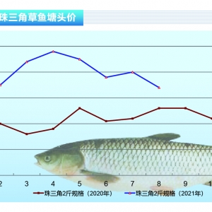 ���~(y��)������������m(x��)���У�����������څ��(sh��)������ˮ�a(ch��n)ǰ�ء�2021��9�¿��Ј�(ch��ng)څ��(sh��)