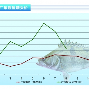 �Z�~(y��)�����m(x��)����20Ԫ/���K�ڻ���������ˮ�a(ch��n)ǰ�ء�2021��9�¿��Ј�(ch��ng)څ��(sh��)