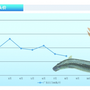 ���q������ƣܛ���������gС�����hС�~���ߡ�����ˮ�a(ch��n)ǰ�ء�2021��9�¿��Ј�څ��