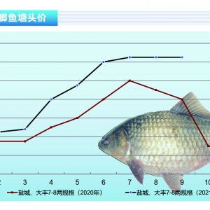 �a�~���w��Ѫ�l(f��)�������������µ�������ˮ�a(ch��n)ǰ�ء�2021��10�¿��Ј�څ��