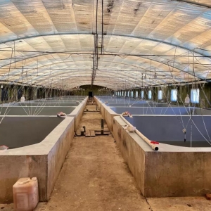 ����ɹ����a(ch��n)��30��/m3�����ܵ��B(y��ng)�r������һ��