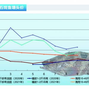 ʯ���~���������w�~�r(ji��)С���ϝq������ˮ�a(ch��n)ǰ�ء�2021��10�¿��Ј�(ch��ng)څ��(sh��)