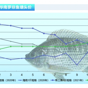 �_���~�����غ����S�������ӹ��S���ӝq�r������ˮ�aǰ�ء�2021��11�¿��Ј�څ��