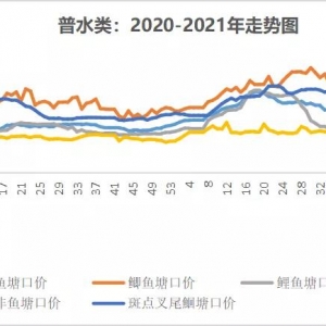 �i�r�B�m(x��)���q5����ʮ���~�r�Ĺ��cҪ���ˣ�