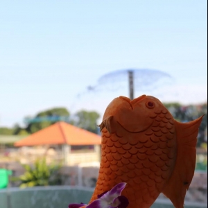 �L(f��ng)�ځ����������f����ˮ�a(ch��n)Ʒ���D(zhu��n)������