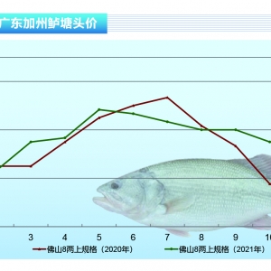 �����|�����w�������������~��Ȼ�܌�������ˮ�a(ch��n)ǰ�ء�2021��11�¿��Ј�څ��