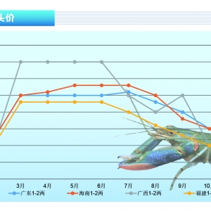 ���޵�ˮ���r��ȫ����r��������������p����������ˮ�a(ch��n)ǰ�ء�2021��11�¿��Ј�څ��