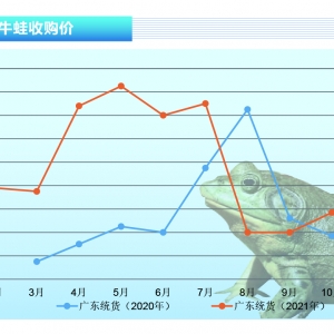 ţ�ܣ����a(ch��n)�^(q��)����(y��ng)���F(xi��n)ȱ�����܃r�ϝq������ˮ�a(ch��n)ǰ�ء�2021��11�¿��Ј�څ��