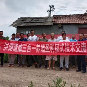 ͨ����һ��ɼ��~��ģʽ�Ĕ�(sh��)��(j��)���@�B(y��ng)ֳȦ