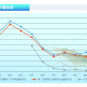 �_�����r���r���ϝqڅ�����@�ҝq���^�󡪡���ˮ�a(ch��n)ǰ�ء�2021��12�¿��Ј�څ��